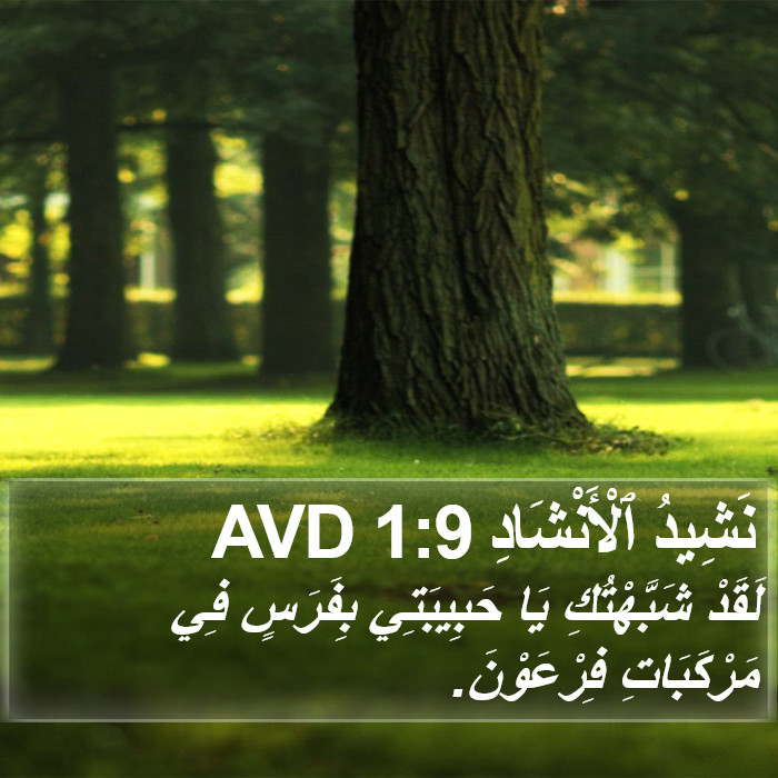 نَشِيدُ ٱلْأَنْشَادِ 1:9 AVD Bible Study