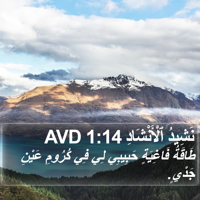 نَشِيدُ ٱلْأَنْشَادِ 1:14 AVD Bible Study