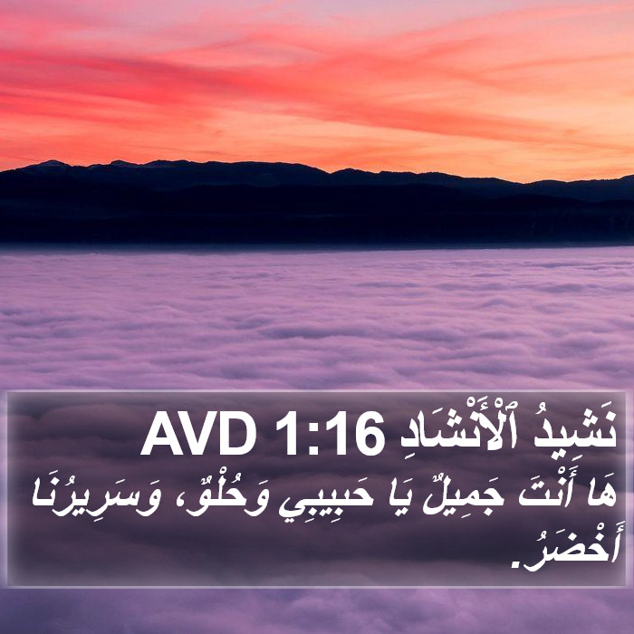 نَشِيدُ ٱلْأَنْشَادِ 1:16 AVD Bible Study