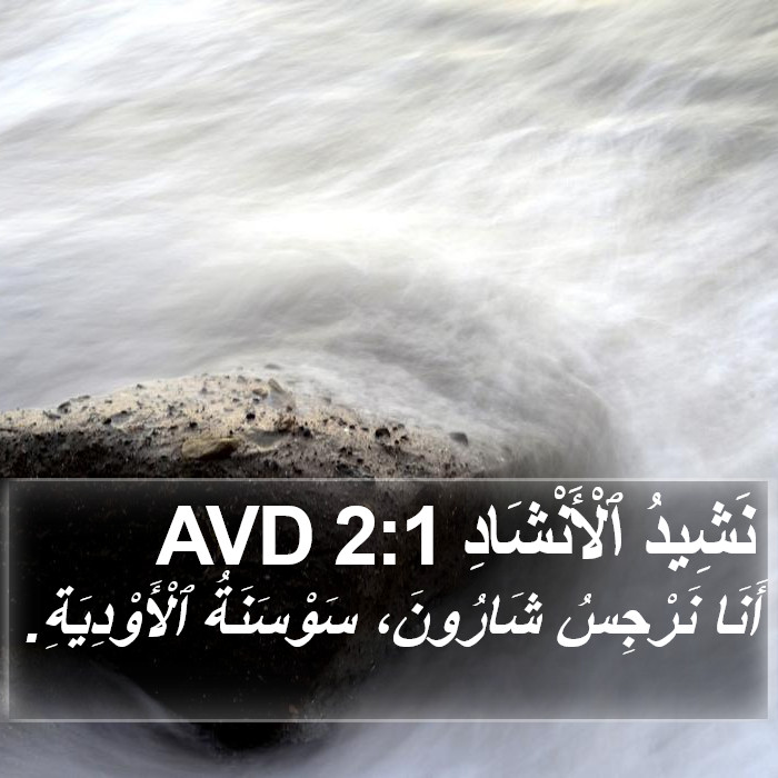 نَشِيدُ ٱلْأَنْشَادِ 2:1 AVD Bible Study