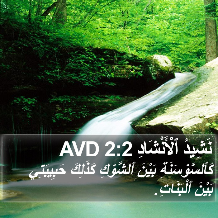 نَشِيدُ ٱلْأَنْشَادِ 2:2 AVD Bible Study