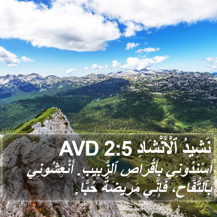 نَشِيدُ ٱلْأَنْشَادِ 2:5 AVD Bible Study