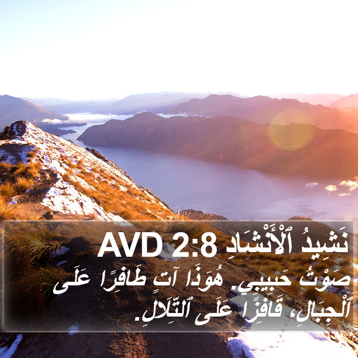 نَشِيدُ ٱلْأَنْشَادِ 2:8 AVD Bible Study