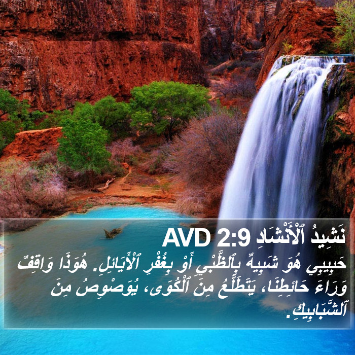 نَشِيدُ ٱلْأَنْشَادِ 2:9 AVD Bible Study