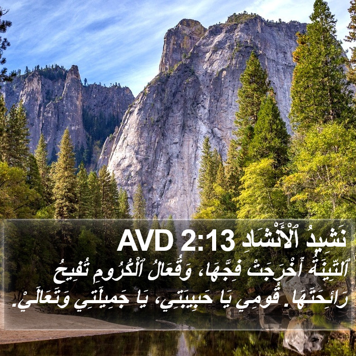 نَشِيدُ ٱلْأَنْشَادِ 2:13 AVD Bible Study