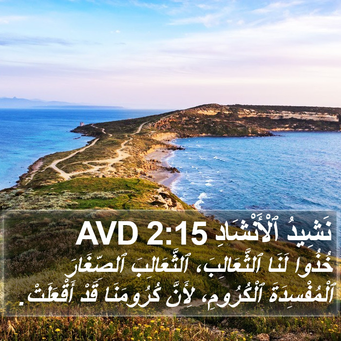 نَشِيدُ ٱلْأَنْشَادِ 2:15 AVD Bible Study