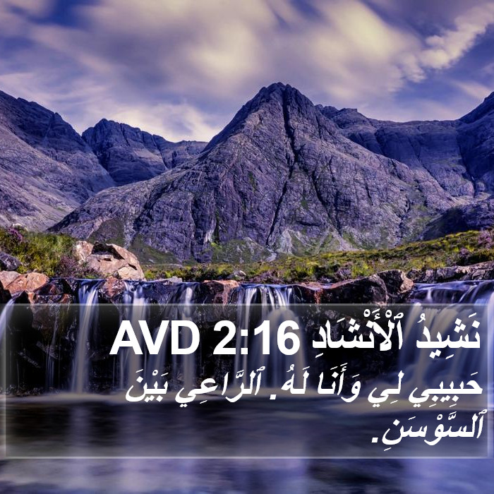 نَشِيدُ ٱلْأَنْشَادِ 2:16 AVD Bible Study