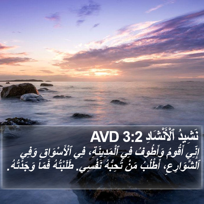 نَشِيدُ ٱلْأَنْشَادِ 3:2 AVD Bible Study