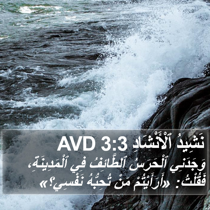 نَشِيدُ ٱلْأَنْشَادِ 3:3 AVD Bible Study