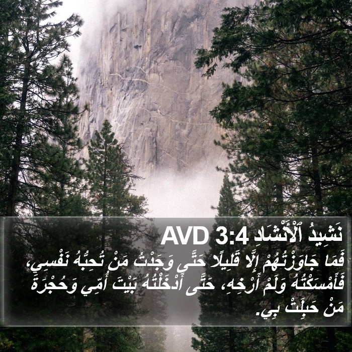 نَشِيدُ ٱلْأَنْشَادِ 3:4 AVD Bible Study
