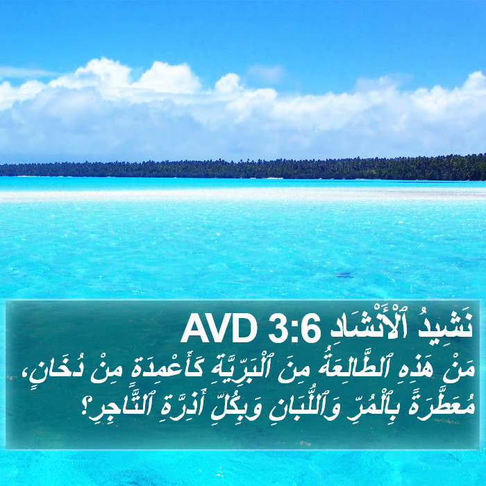 نَشِيدُ ٱلْأَنْشَادِ 3:6 AVD Bible Study
