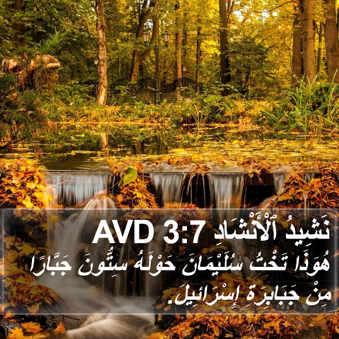 نَشِيدُ ٱلْأَنْشَادِ 3:7 AVD Bible Study