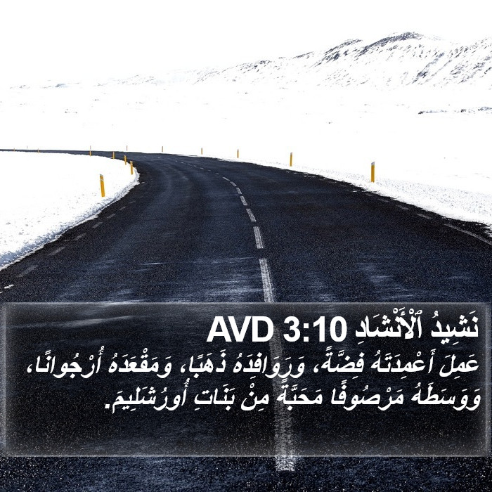نَشِيدُ ٱلْأَنْشَادِ 3:10 AVD Bible Study