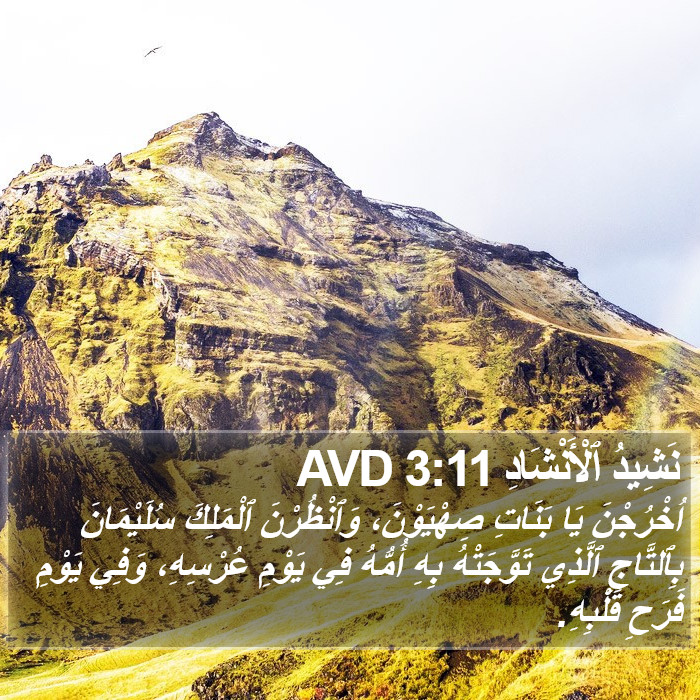 نَشِيدُ ٱلْأَنْشَادِ 3:11 AVD Bible Study