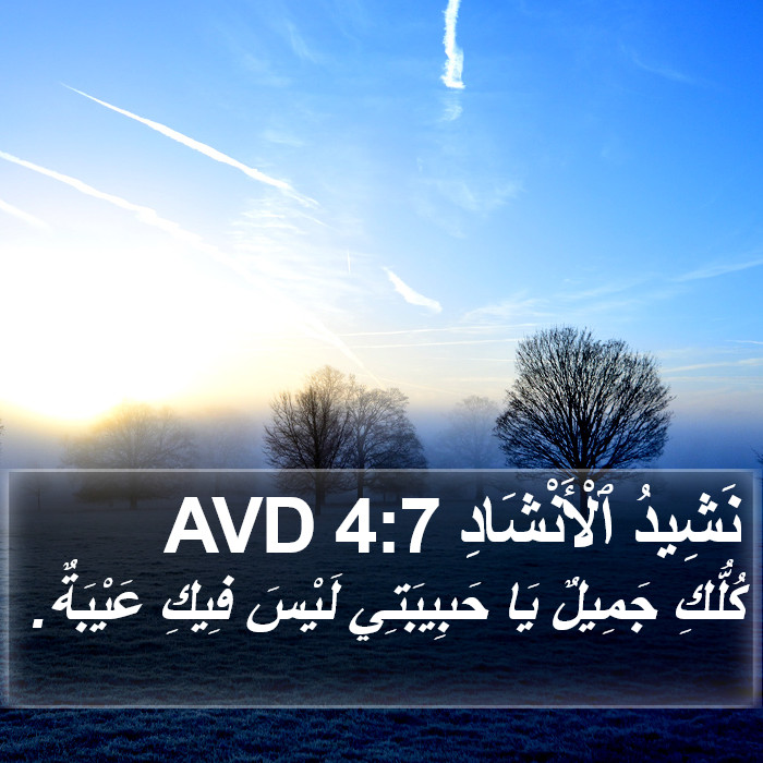 نَشِيدُ ٱلْأَنْشَادِ 4:7 AVD Bible Study
