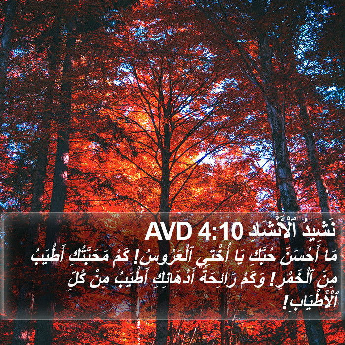 نَشِيدُ ٱلْأَنْشَادِ 4:10 AVD Bible Study