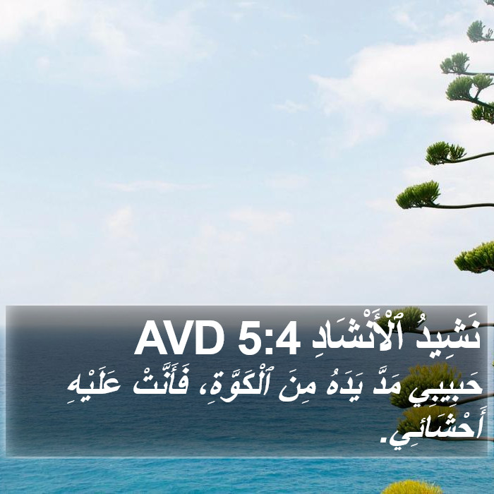 نَشِيدُ ٱلْأَنْشَادِ 5:4 AVD Bible Study