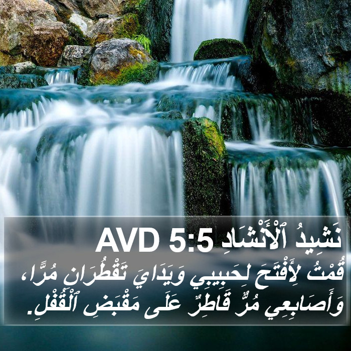 نَشِيدُ ٱلْأَنْشَادِ 5:5 AVD Bible Study