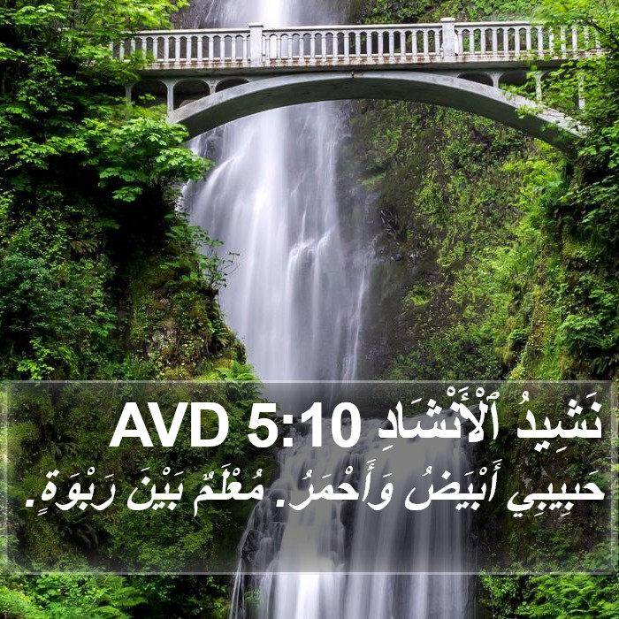 نَشِيدُ ٱلْأَنْشَادِ 5:10 AVD Bible Study