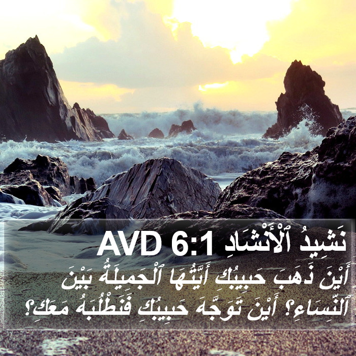 نَشِيدُ ٱلْأَنْشَادِ 6:1 AVD Bible Study