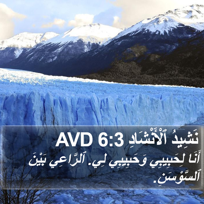 نَشِيدُ ٱلْأَنْشَادِ 6:3 AVD Bible Study