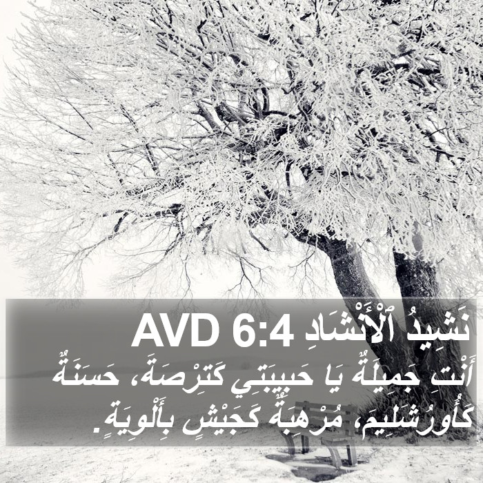 نَشِيدُ ٱلْأَنْشَادِ 6:4 AVD Bible Study