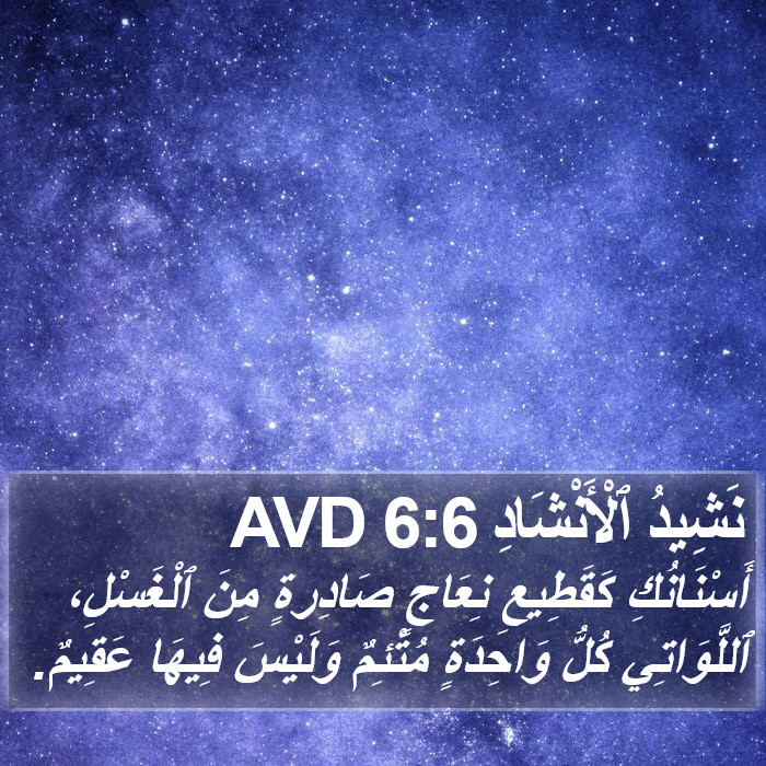نَشِيدُ ٱلْأَنْشَادِ 6:6 AVD Bible Study