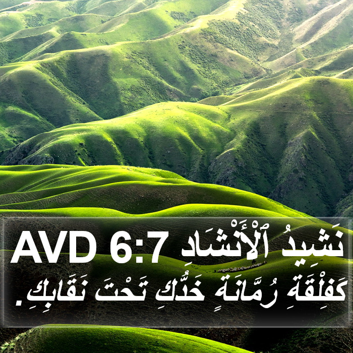 نَشِيدُ ٱلْأَنْشَادِ 6:7 AVD Bible Study