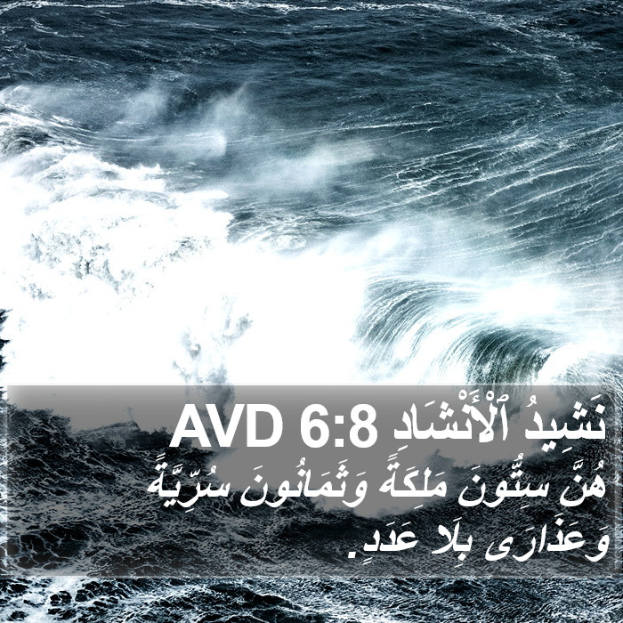نَشِيدُ ٱلْأَنْشَادِ 6:8 AVD Bible Study