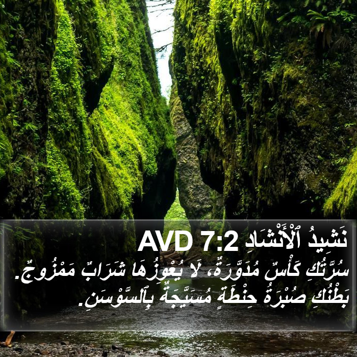 نَشِيدُ ٱلْأَنْشَادِ 7:2 AVD Bible Study