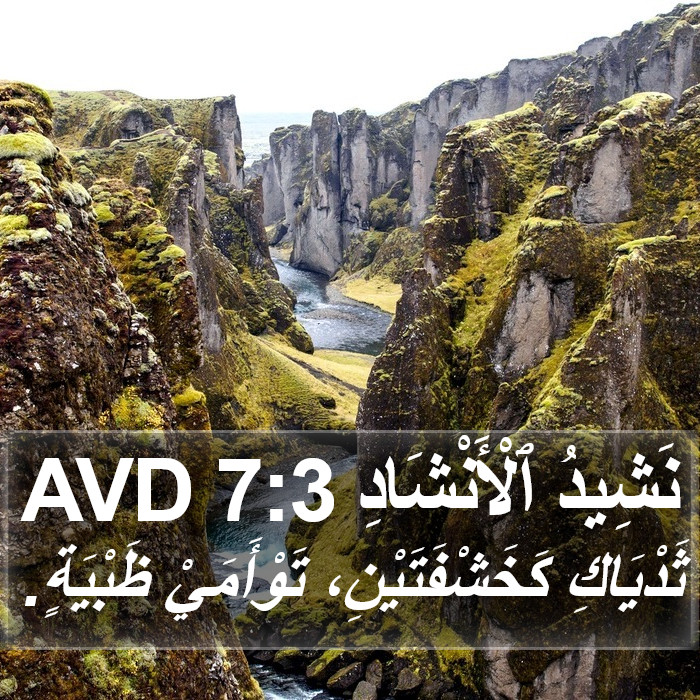 نَشِيدُ ٱلْأَنْشَادِ 7:3 AVD Bible Study