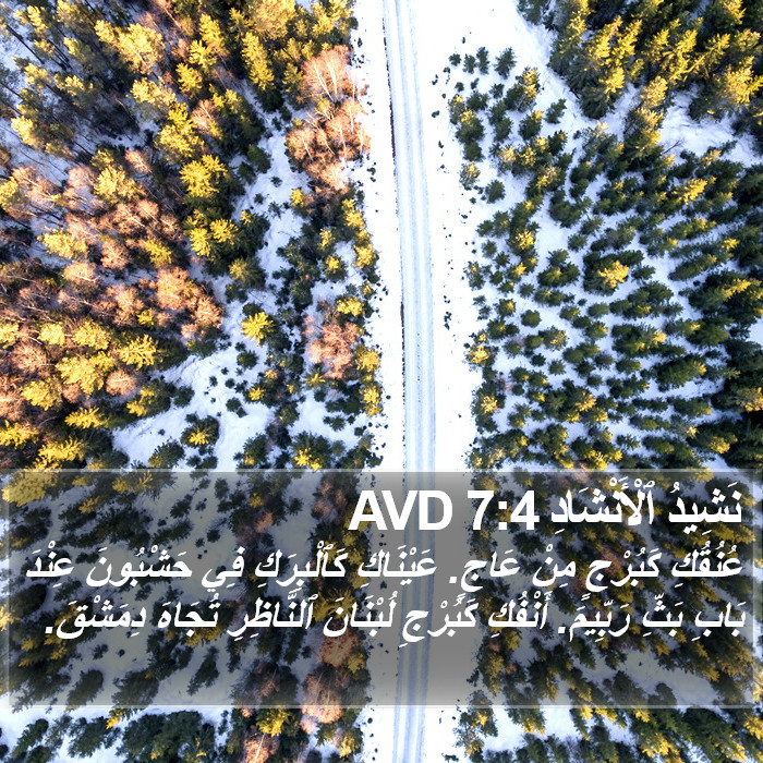 نَشِيدُ ٱلْأَنْشَادِ 7:4 AVD Bible Study