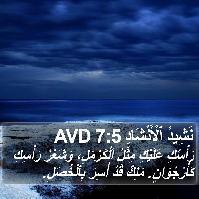 نَشِيدُ ٱلْأَنْشَادِ 7:5 AVD Bible Study