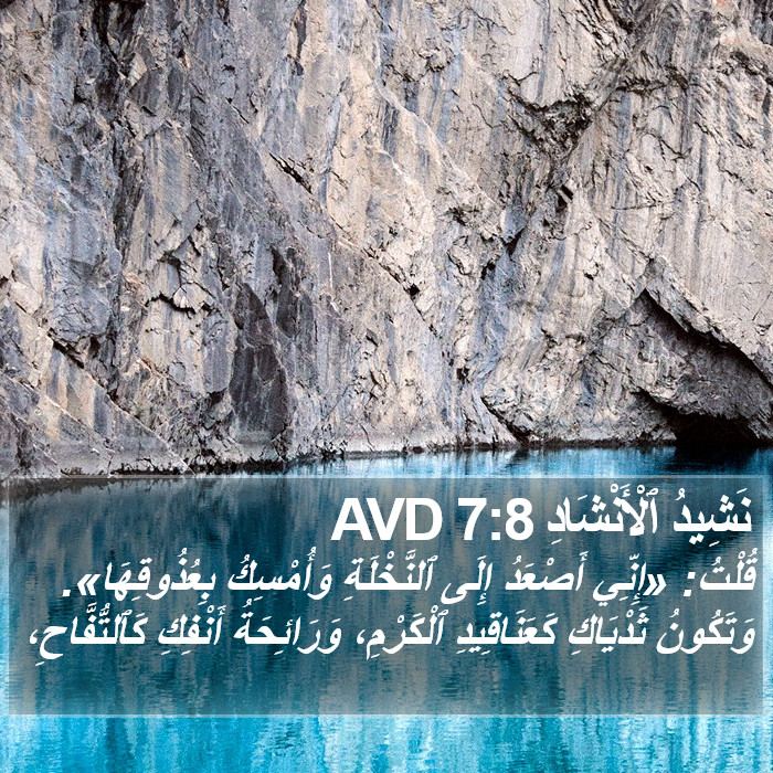 نَشِيدُ ٱلْأَنْشَادِ 7:8 AVD Bible Study