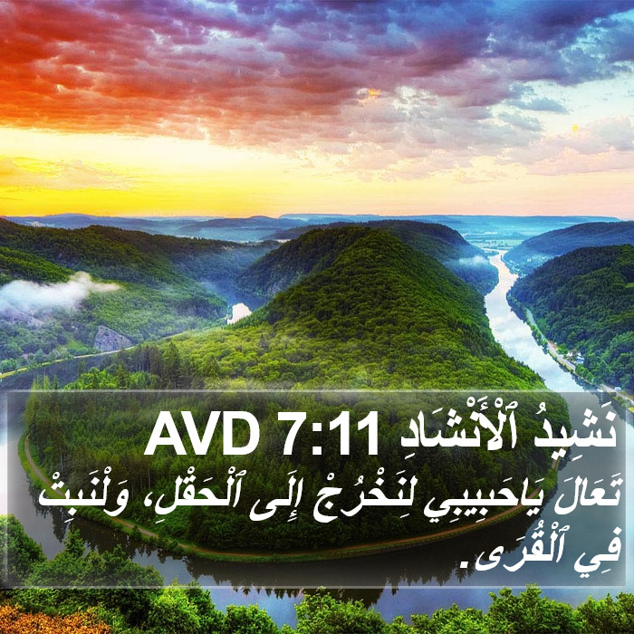 نَشِيدُ ٱلْأَنْشَادِ 7:11 AVD Bible Study