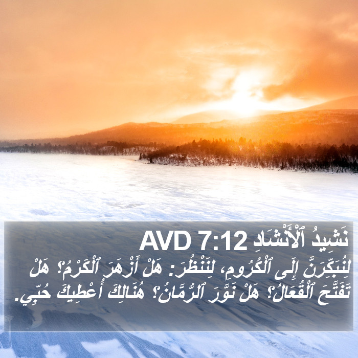 نَشِيدُ ٱلْأَنْشَادِ 7:12 AVD Bible Study