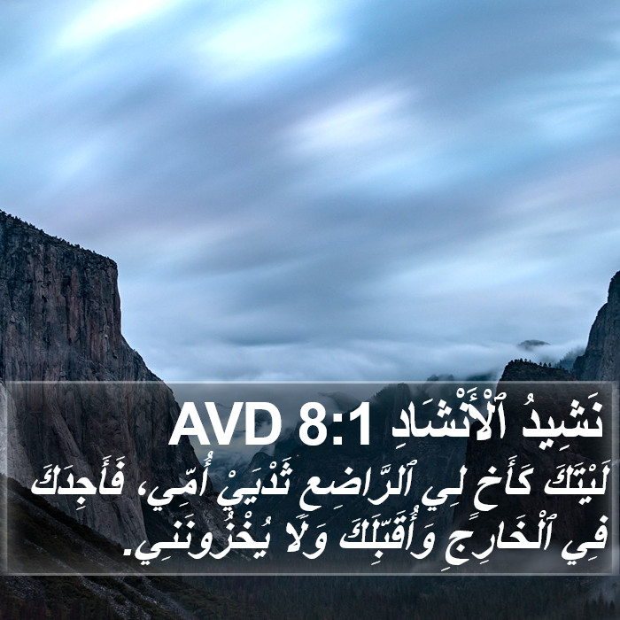 نَشِيدُ ٱلْأَنْشَادِ 8:1 AVD Bible Study