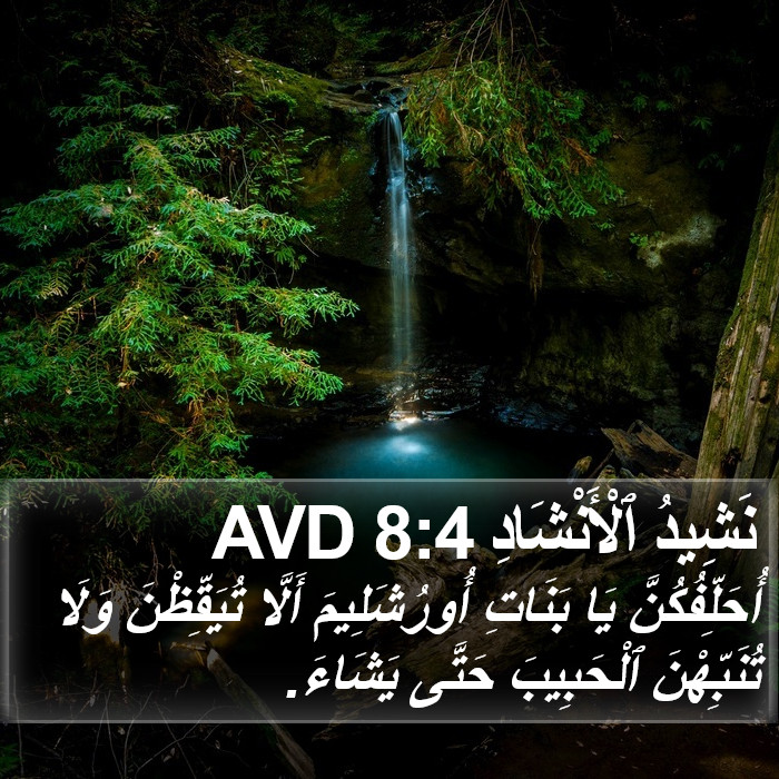 نَشِيدُ ٱلْأَنْشَادِ 8:4 AVD Bible Study