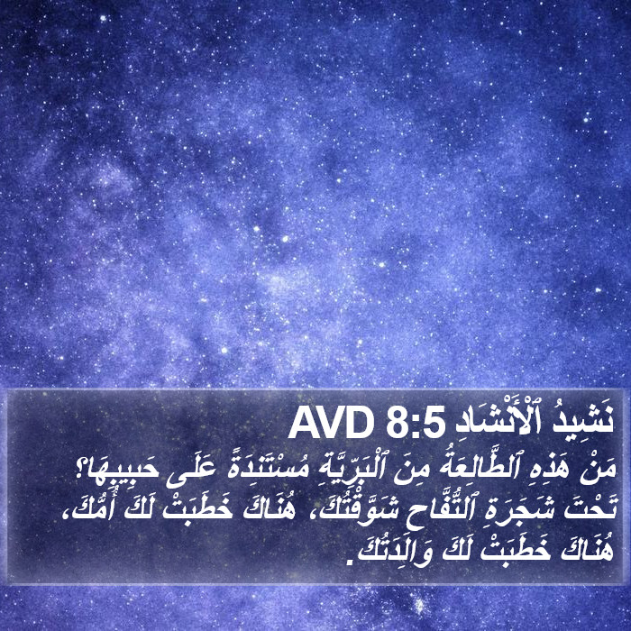 نَشِيدُ ٱلْأَنْشَادِ 8:5 AVD Bible Study