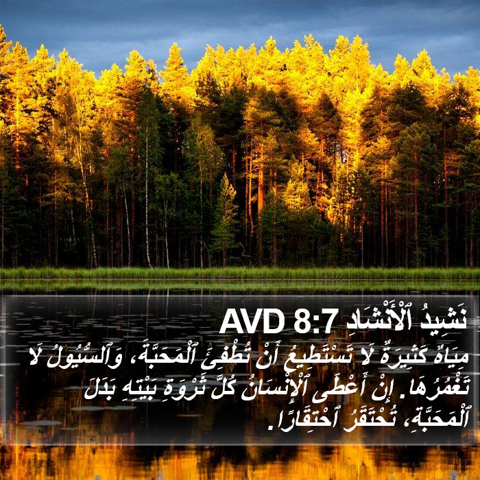 نَشِيدُ ٱلْأَنْشَادِ 8:7 AVD Bible Study