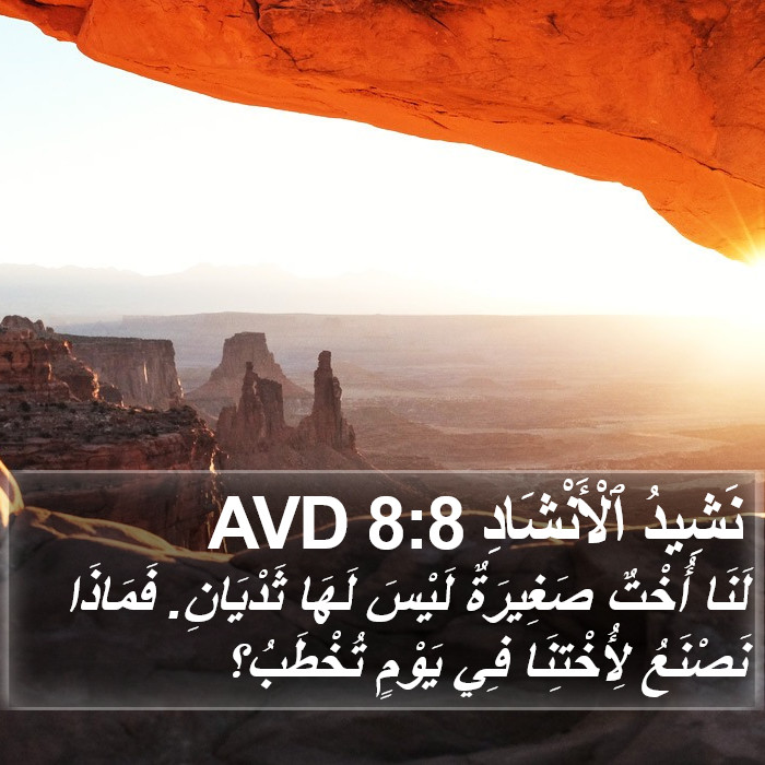 نَشِيدُ ٱلْأَنْشَادِ 8:8 AVD Bible Study