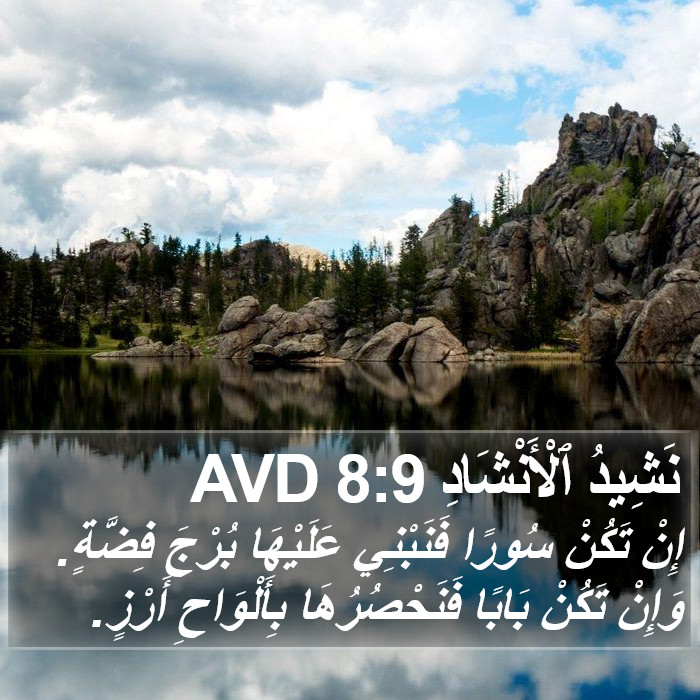 نَشِيدُ ٱلْأَنْشَادِ 8:9 AVD Bible Study