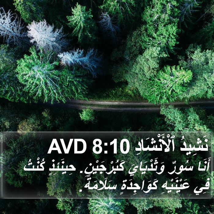 نَشِيدُ ٱلْأَنْشَادِ 8:10 AVD Bible Study