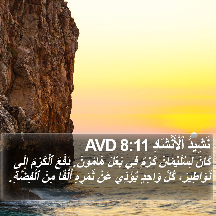 نَشِيدُ ٱلْأَنْشَادِ 8:11 AVD Bible Study