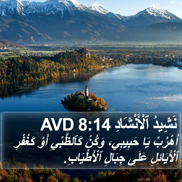 نَشِيدُ ٱلْأَنْشَادِ 8:14 AVD Bible Study