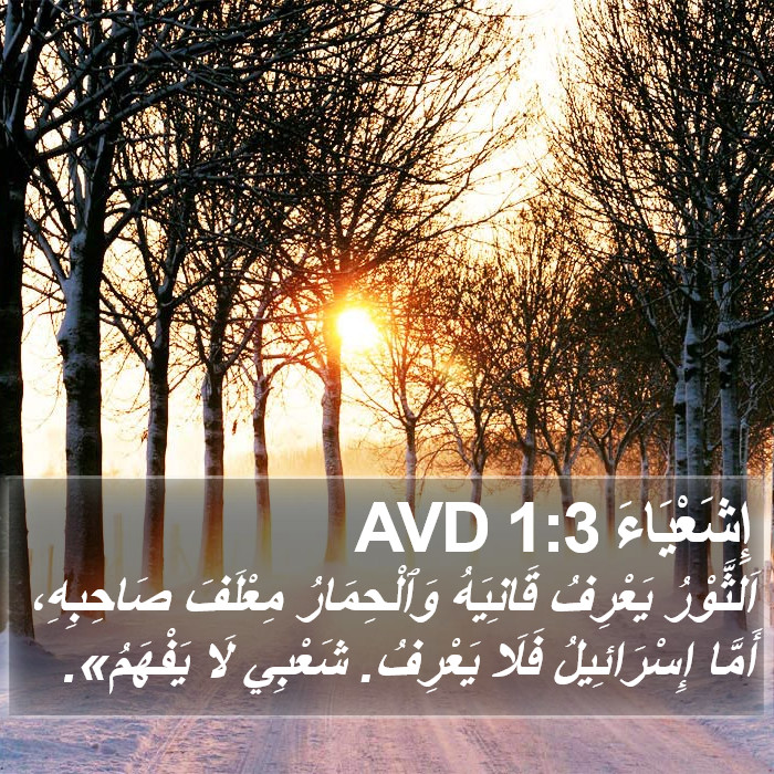 إِشَعْيَاءَ 1:3 AVD Bible Study