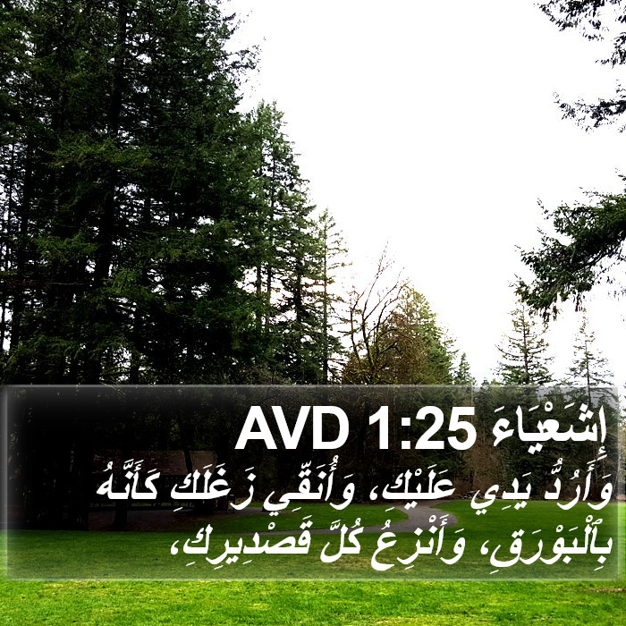 إِشَعْيَاءَ 1:25 AVD Bible Study