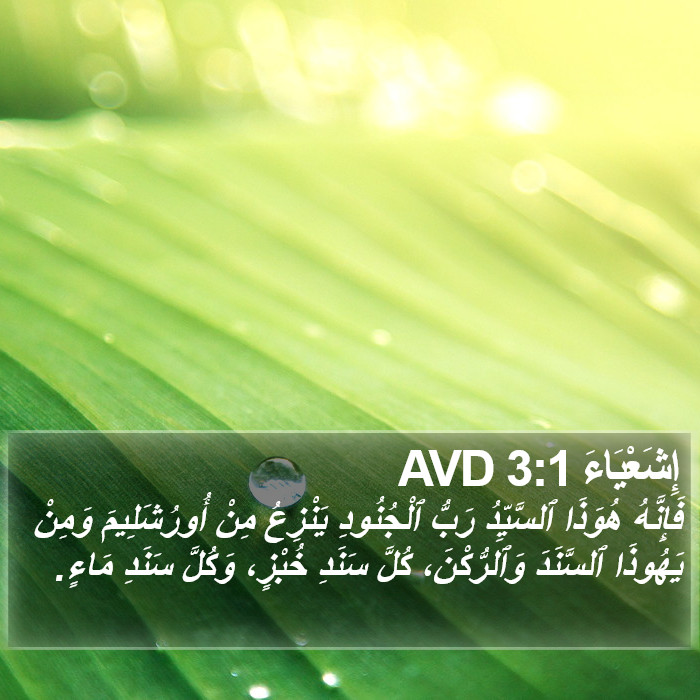 إِشَعْيَاءَ 3:1 AVD Bible Study