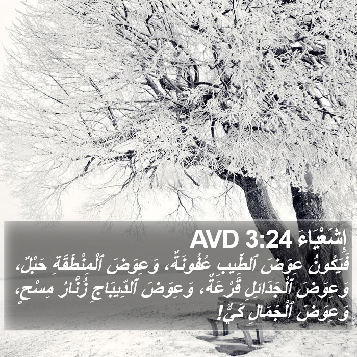 إِشَعْيَاءَ 3:24 AVD Bible Study