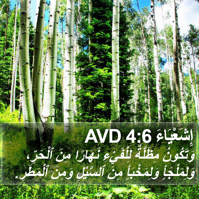 إِشَعْيَاءَ 4:6 AVD Bible Study